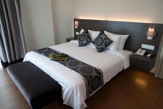 Studio (2 Adults),37165606:JPEG